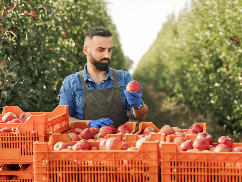 Handling living products